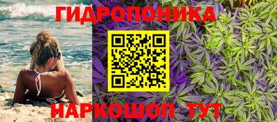стафф Изобильный