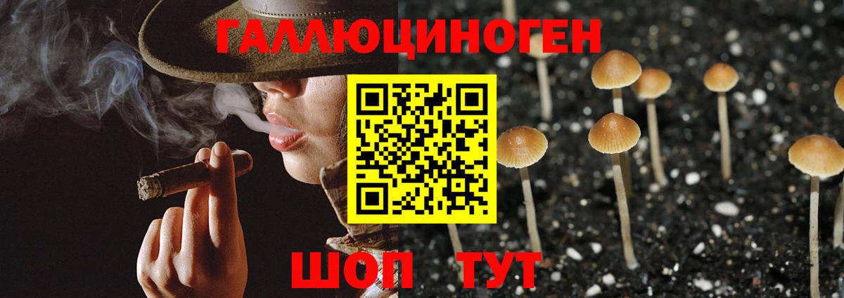 купить наркотик  Псилоцибиновые грибы мицелий  Вход с VPN  Нарьян-Мар 